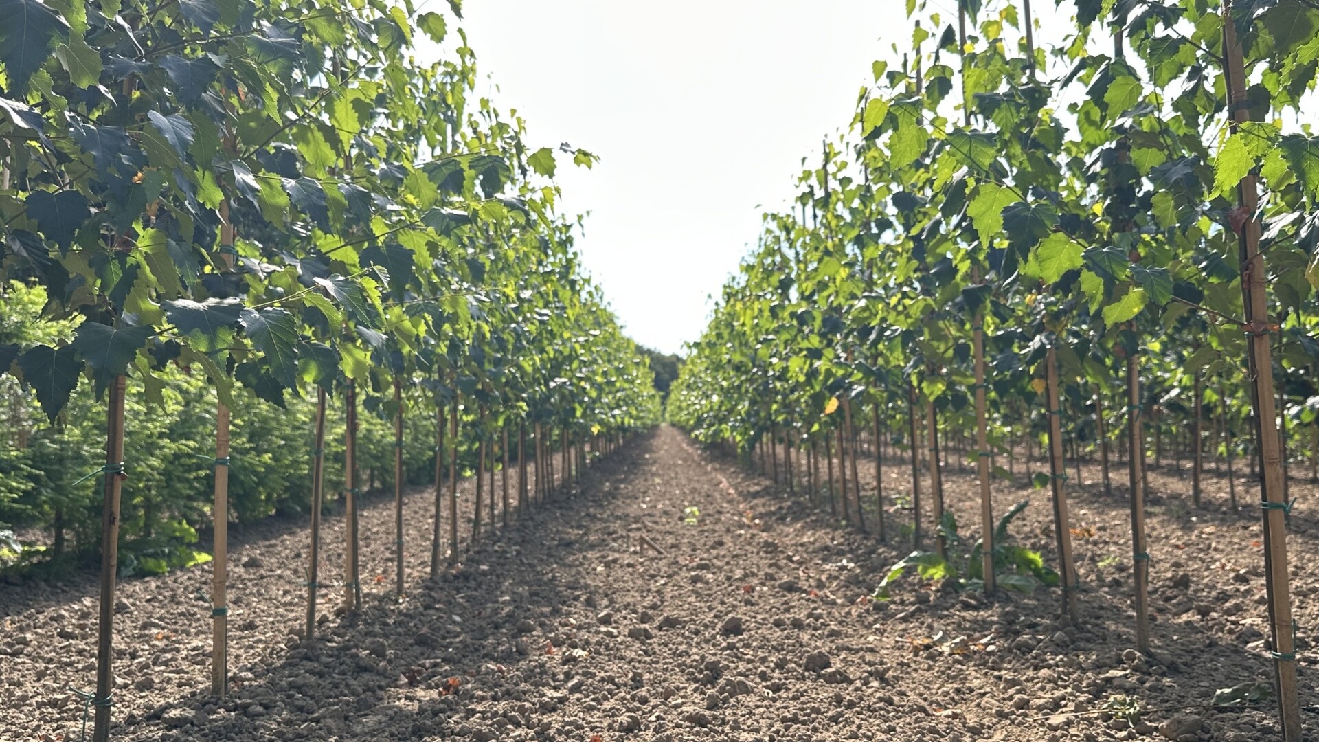 Werken bij R&R van Rens